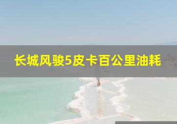 长城风骏5皮卡百公里油耗