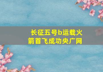 长征五号b运载火箭首飞成功央广网