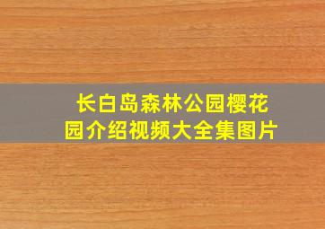 长白岛森林公园樱花园介绍视频大全集图片