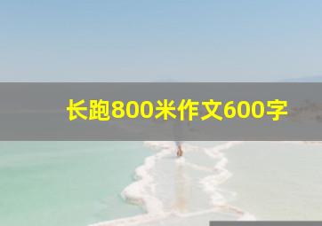 长跑800米作文600字