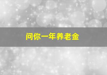 问你一年养老金