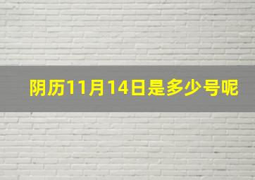 阴历11月14日是多少号呢