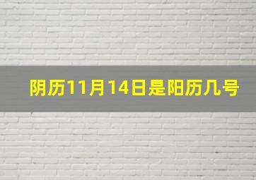 阴历11月14日是阳历几号