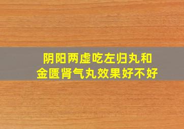 阴阳两虚吃左归丸和金匮肾气丸效果好不好