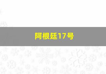 阿根廷17号