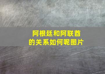 阿根廷和阿联酋的关系如何呢图片