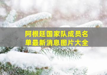 阿根廷国家队成员名单最新消息图片大全