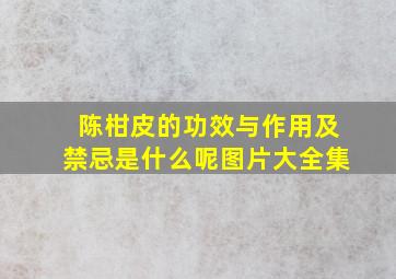 陈柑皮的功效与作用及禁忌是什么呢图片大全集