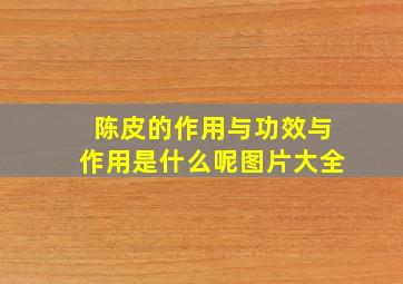 陈皮的作用与功效与作用是什么呢图片大全