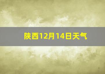 陕西12月14日天气