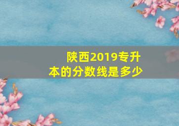 陕西2019专升本的分数线是多少