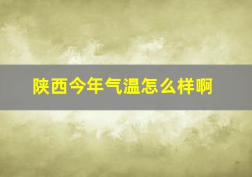 陕西今年气温怎么样啊