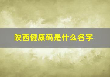 陕西健康码是什么名字