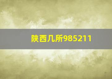 陕西几所985211