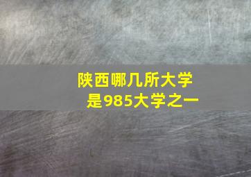 陕西哪几所大学是985大学之一