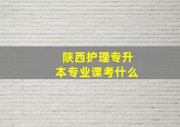 陕西护理专升本专业课考什么