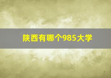 陕西有哪个985大学