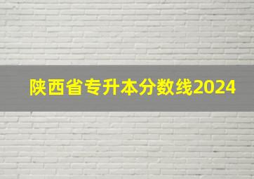 陕西省专升本分数线2024