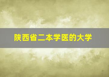 陕西省二本学医的大学