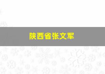 陕西省张文军