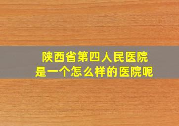 陕西省第四人民医院是一个怎么样的医院呢