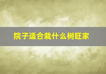 院子适合栽什么树旺家