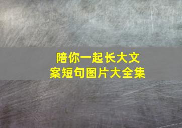 陪你一起长大文案短句图片大全集