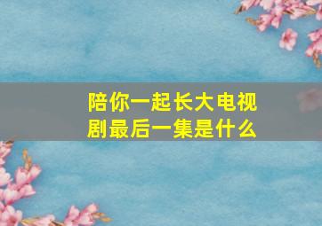 陪你一起长大电视剧最后一集是什么