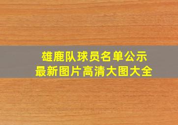 雄鹿队球员名单公示最新图片高清大图大全