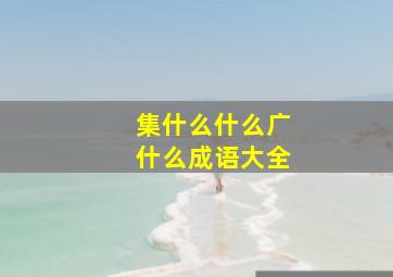 集什么什么广什么成语大全