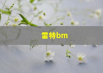 雷特bm