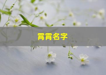 霄霄名字