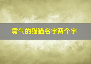 霸气的猫猫名字两个字