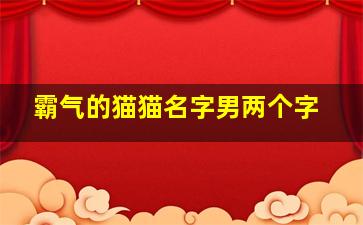 霸气的猫猫名字男两个字