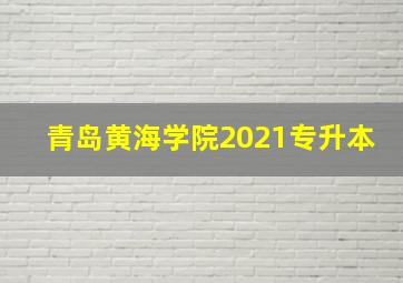 青岛黄海学院2021专升本