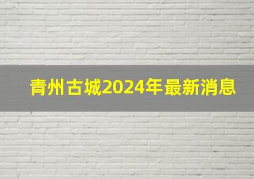 青州古城2024年最新消息