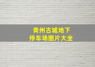 青州古城地下停车场图片大全