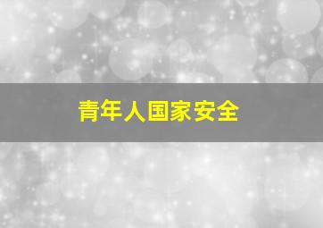 青年人国家安全