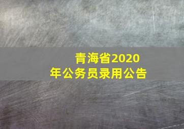 青海省2020年公务员录用公告