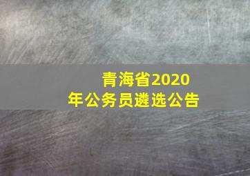 青海省2020年公务员遴选公告