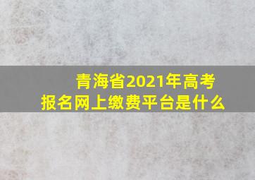 青海省2021年高考报名网上缴费平台是什么