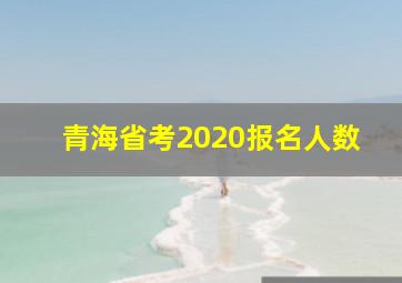 青海省考2020报名人数