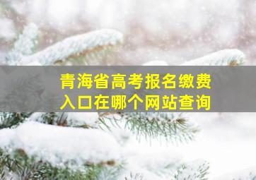 青海省高考报名缴费入口在哪个网站查询