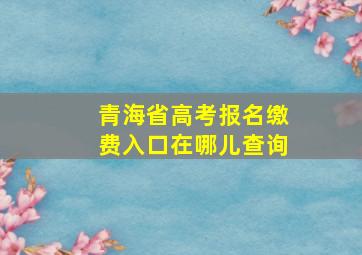 青海省高考报名缴费入口在哪儿查询