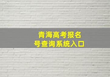 青海高考报名号查询系统入口