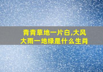 青青草地一片白,大风大雨一地绿是什么生肖