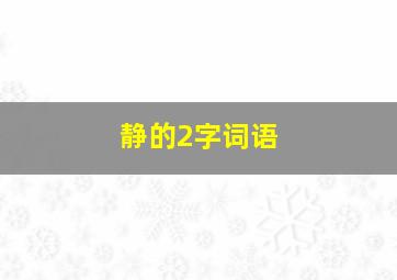 静的2字词语