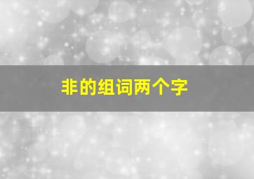 非的组词两个字