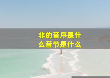 非的音序是什么音节是什么