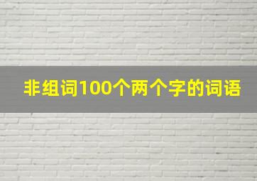 非组词100个两个字的词语